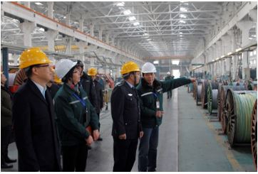 Ma Zhong and his delegation, vice mayor of Yixing City, visited the company